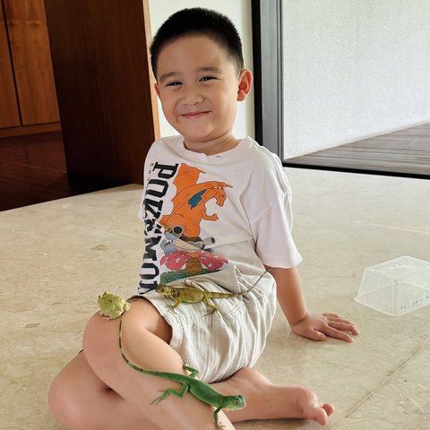 Kumpulan Hewan Peliharaan Athar Anak Citra Kirana dan Rezky Aditya, Ada Katak sampai Iguana