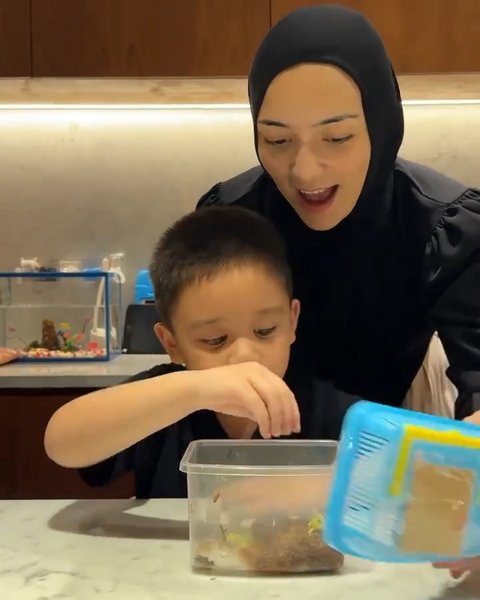 Kumpulan Hewan Peliharaan Athar Anak Citra Kirana dan Rezky Aditya, Ada Katak sampai Iguana