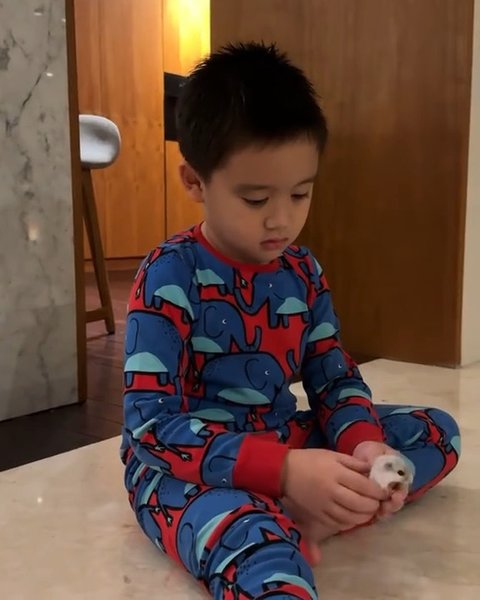 Kumpulan Hewan Peliharaan Athar Anak Citra Kirana dan Rezky Aditya, Ada Katak sampai Iguana