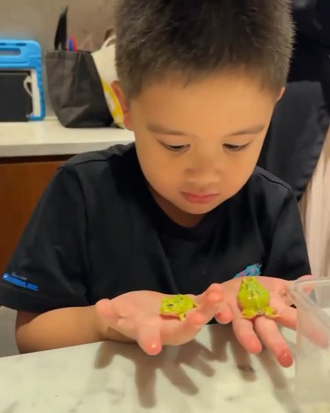 Kumpulan Hewan Peliharaan Athar Anak Citra Kirana dan Rezky Aditya, Ada Katak sampai Iguana