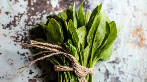 illustrasi wanita memakan sayur copyright/freepik