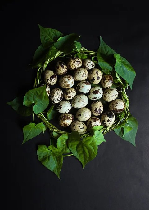 Ilustrasi telur puyuh rebus./Copyright shutterstock.com/g/VitalinaRybakova