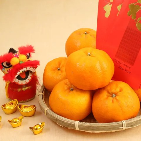 Siap meriahkan Tahun Baru Imlek dengan tema 'The Great Lunar New Year' di Lippo Malls Indonesia. (Photo by Red Morley Hewitt on Unsplash)