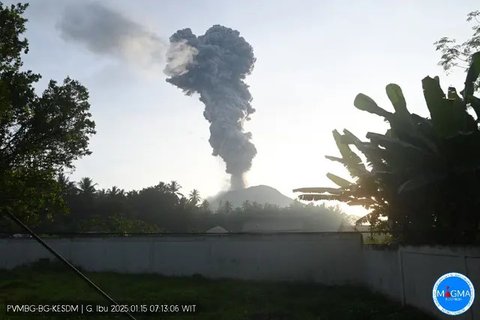 Gunung Ibu kembali erupsi dahsyat pada Selasa (7/1/2025), pukul 11.12 WIT. (Liputan6.com/ Dok PVMBG)