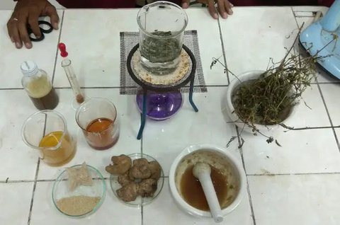 Tiga mahasiswa meneliti teh herbal berbahan daun putri malu itu bisa berefek mendatangkan kantuk maksimal satu jam setelah dikonsumsi. (Liputan6.com/Dhimas Prasaja)