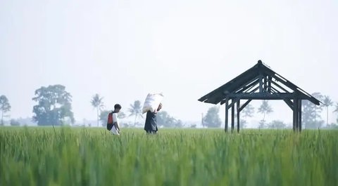 Petani. (Dok.