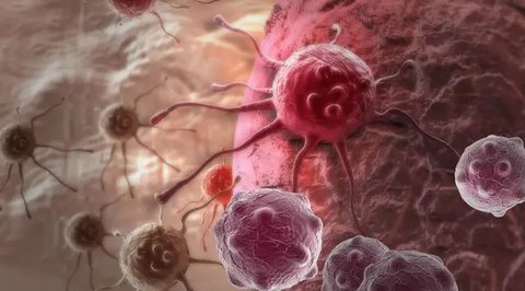 cara membuat jus tomat Ilustrasi dibuat AI