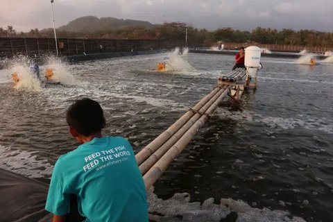 Layanan AI yang ada di eFishery dan bisa dimanfaatkan untuk para pengguna. (Dok: eFishery)