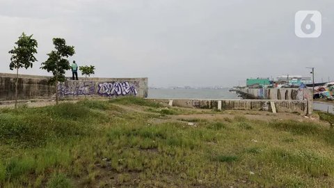 Program tanggul laut ini bertujuan untuk melindungi lahan persawahan yang ada di wilayah Pantai Utara Jawa. (Liputan6.com/Herman Zakharia)