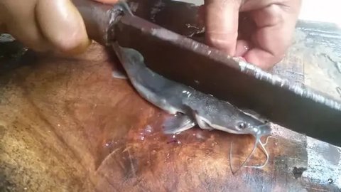 Tanpa Pakai Tepung, Ini Cara Goreng Lele yang Tepat Agar Tidak Melengkung dan Tetap Gurih (Instagram/@kumpulanresepmasak)