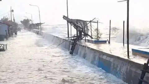 Memahami Giant Sea Wall dan Bagaimana Manfaatnya untuk Kelautan