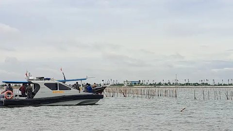 Memahami Giant Sea Wall dan Bagaimana Manfaatnya untuk Kelautan