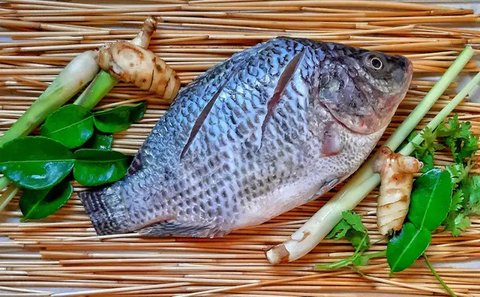 Pesmol Ikan Nila (fimela.com)