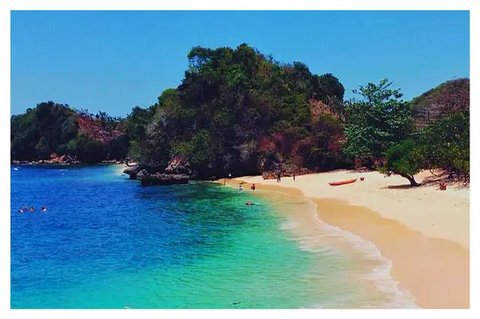 Kementerian Perhubungan bersama Perum Damri telah menyediakan layanan angkutan wisata gratis rute ke Taman Nasional (TN) Alas Purwo, Pantai Pulau Merah, Kawah Ijen, dan TN Baluran.