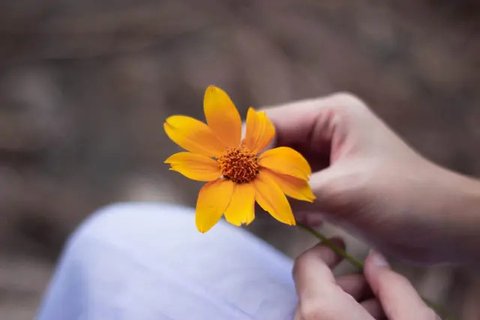 Doc: Freepik.com/cookie_studio