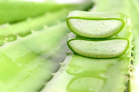 Cara Mengatasi Rambut Rontok, Solusi Mudah dengan 2 Bahan Ini