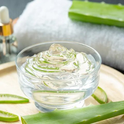 Kandungan aloe vera untuk kesehatan rambut (Credit: freepik/Jcomp)