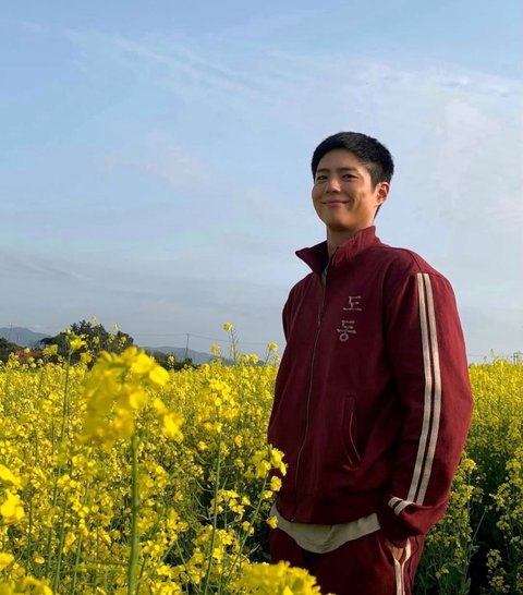 Kesuksesan Drakor WHEN LIFE GIVES YOU TANGERINES, IU dan Park Bo Gum Puncaki Peringkat Artis Terpopuler