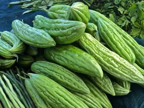 Kandungan nutrisi pare untuk kesehatan kulit