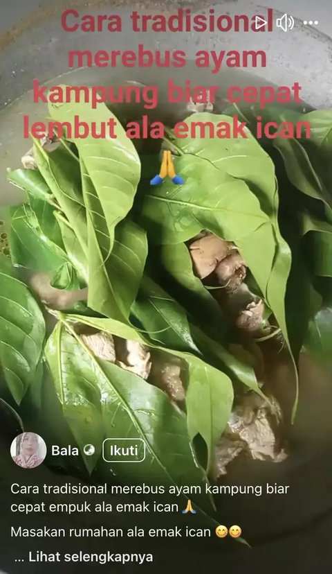 Cara Memasak Ayam Kampung Agar Empuk Tanpa Presto, Hanya Perlu Satu Bahan Ini