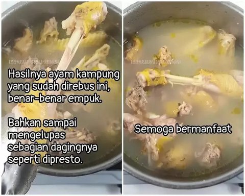 Cara Memasak Ayam Kampung Agar Empuk dalam 15 Menit Tanpa Menggunakan Presto