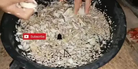 Siapa sangka, jantung pisang yang murah tersebut memiliki banyak manfaat bagi kesehatan.