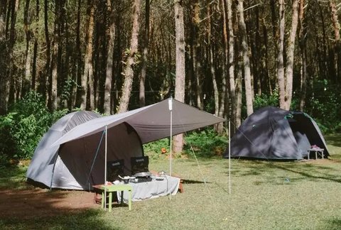 Rainbow Garden wisata di kaki Gunung Tangkuban Perahu. (Dok: IG @rainbowgarden_lembang https://www.ins