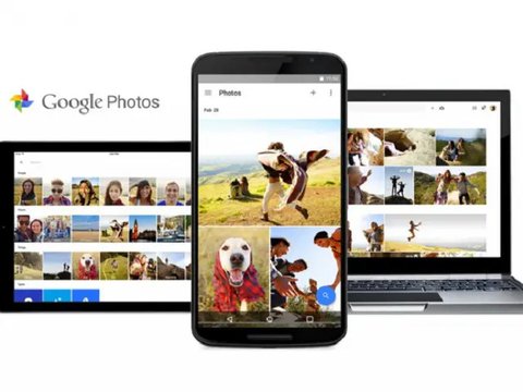 6 Cara Optimalkan Jepretan Foto Pakai Google Photos