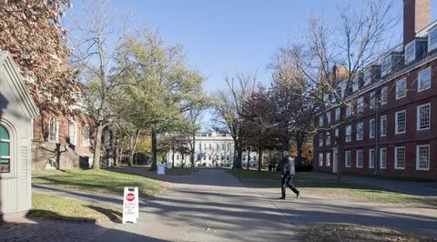 Dari Warung Nasi Goreng ke Harvard, Kisah Inspiratif Anak Muda Asal Pandeglang