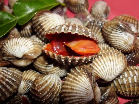 Mengerikan! 5 Makanan Ekstrem di Dunia Ini Masih Dimakan Orang, Ketahui Bahayanya