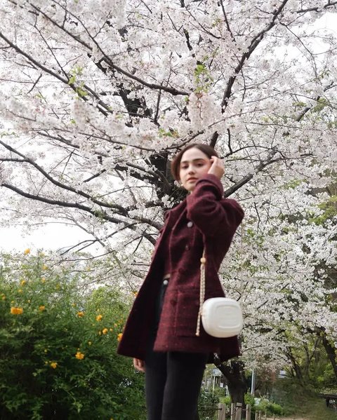 Adu Gaya Syifa Hadju, Ariel Tatum dan Yura Yunita saat Nikmati Sakura di Jepang, Kompak Tampil Elegan di Musim Semi