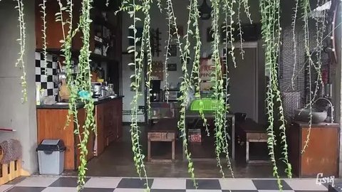 Dapur Kayu Milik Cella Kotak, Dikelilingi Oleh Nuansa Hijau Kota Yogyakarta