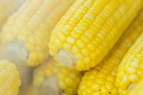 Resep dadar jagung kukus. (dok. Cookpad @Ruthiee_mei)