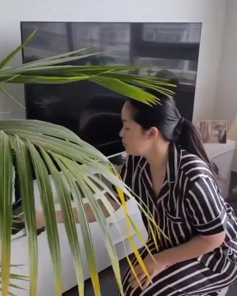 Simpel tapi Elegan, Begini Tampilan Dapur Gracia Indri di Apartemen Belanda