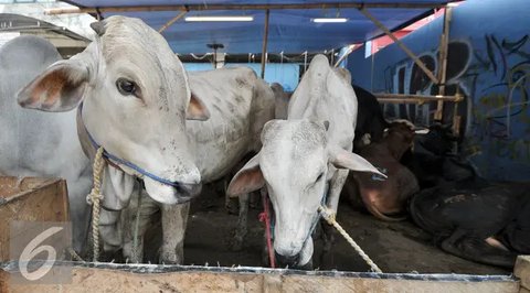 Ilustrasi Kalender 2025. (Dok: pexels/Matheus Bertelli)