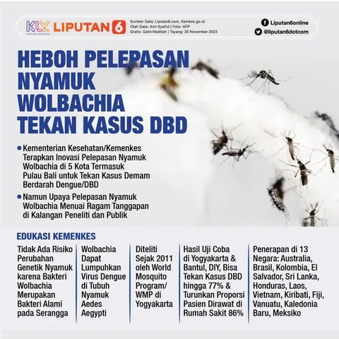 Demam berdarah dengue disebabkan oleh gigitan nyamuk Aedes aegypti. (Foto: Pexels/Pixabay)