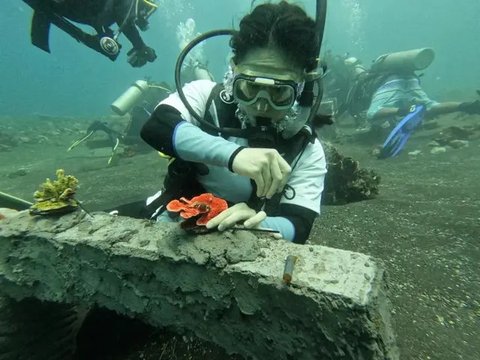 Ilustrasi laut. (dok. NOOA/Unsplash.com)