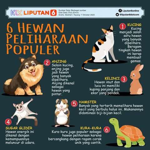 Ular kepala dua yang ditemukan warga yang mendiami lereng gunung Lewotobi Laki-Laki (Liputan6.com/Ola Keda)