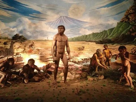 Manekin dari Homo erectus dalam pameran berjudul "Prehistoric Heritage" yang digelar di Museum Nasional, 24 Oktober 2017. (Liputan6.com/Afra Augesti)