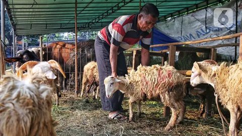 Diketahui, Idul Adha 1446 Hijriah diprediksi jatuh pada 6 Juni 2025. (Liputan6.com/Angga Yuniar)