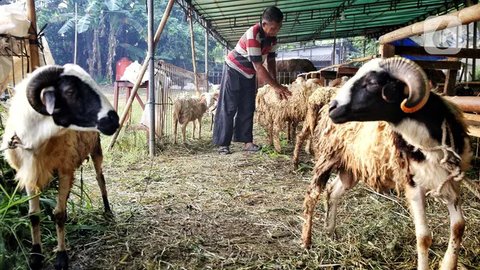 Sebelumnya, Kementerian Agama telah melaksanakan sidang isbat untuk menentukan tanggal resmi Idul Adha pada Selasa 27 Mei 2025. (Liputan6.com/Angga Yuniar)
