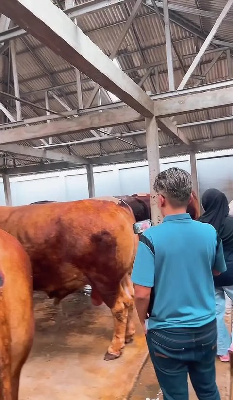 Potret Ruben Onsu Cari Sapi Kurban Usai Batal Naik Haji (Sumber: IG/ruben_onsu)