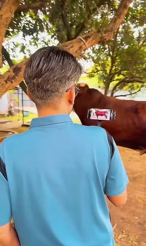 Potret Ruben Onsu Cari Sapi Kurban Usai Batal Naik Haji (Sumber: IG/ruben_onsu)