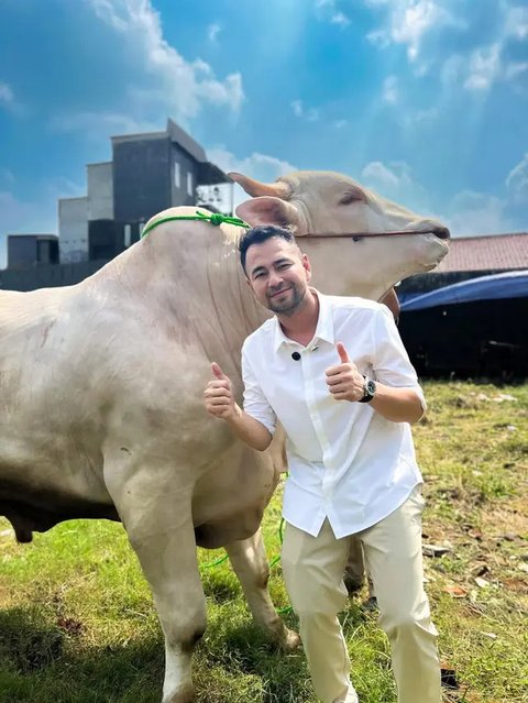 Artis Kurban Sapi di Idul Adha 2025. (sumber: Instagram/raffinagita1717)