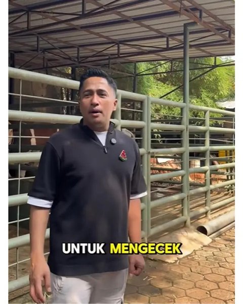 Artis Kurban Sapi di Idul Adha 2025. (sumber: Instagram/raffinagita1717)
