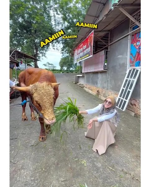 Artis Kurban Sapi di Idul Adha 2025. (sumber: Instagram/raffinagita1717)