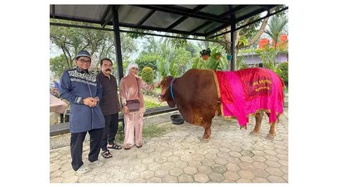 Artis Kurban Sapi di Idul Adha 2025. (sumber: Instagram/raffinagita1717)