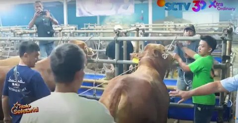 Rizky Billar dan Lesti Kejora (Bambang E Ross/Fimela)