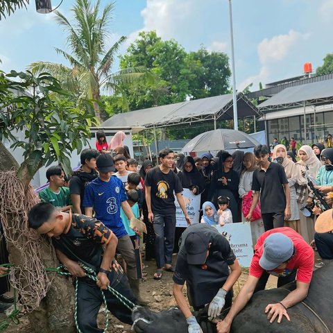 Otak Sapi Jadi Pilihan Ria Ricis Saat Idul Adha, Ini Alasannya
