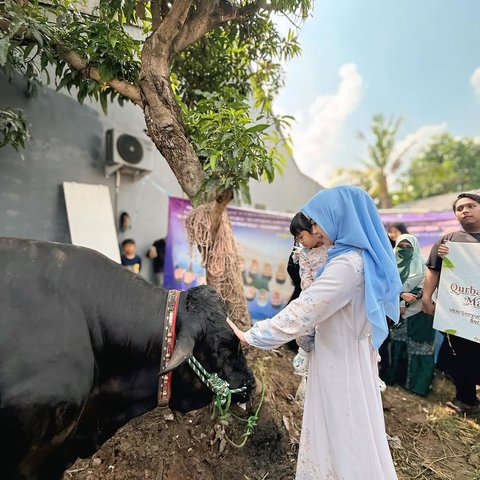 Otak Sapi Jadi Pilihan Ria Ricis Saat Idul Adha, Ini Alasannya